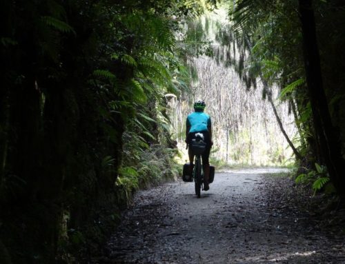 Tour Aotearoa : la vidéo de notre périple en Nouvelle-Zélande !
