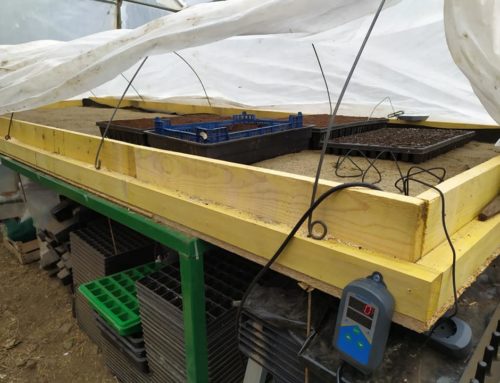 Réaliser des semis “précoces” en altitude? Une solution : la table à semis chauffante !