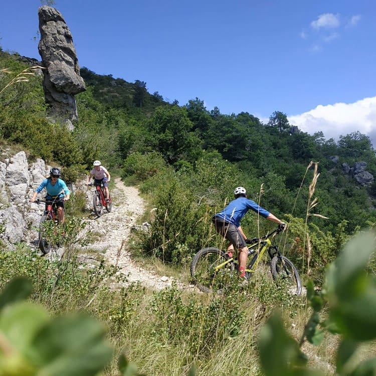 VTT 7