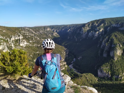 VTT